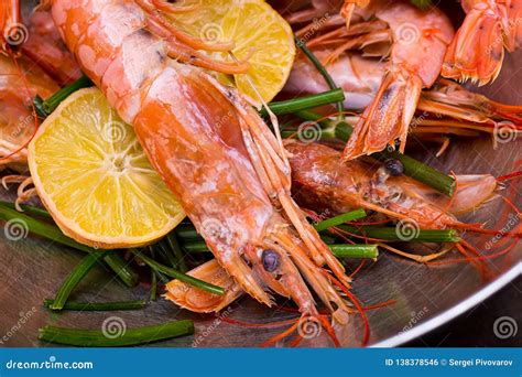  Langoustine: Een Wonderbaarlijk Dierensoort Met een Scherp Gezicht en een Heldere Schelp!